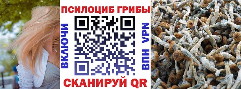 KRAKEN ONION  Новоаннинский  Галлюциногенные грибы мицелий 